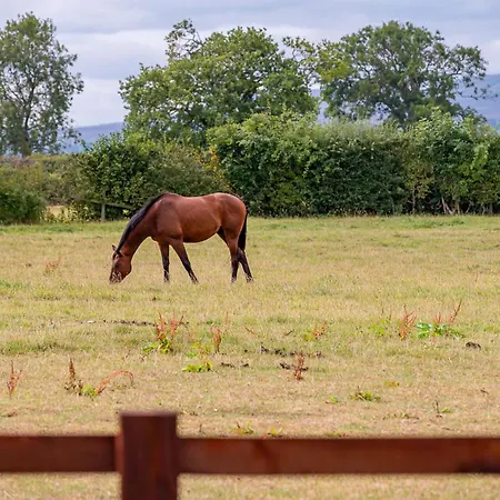 Holiday home Penhill