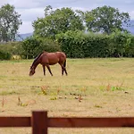 Holiday home Penhill